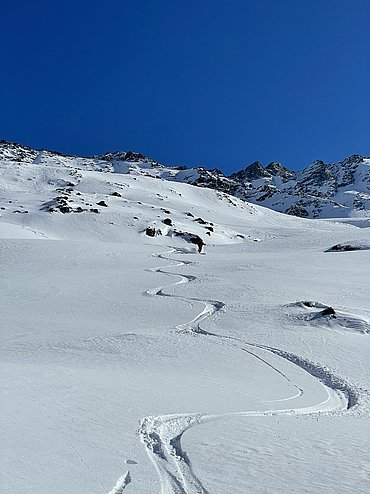 Technik verbessern im Freeride-Tageskurs © Skischule Pitztal Kirschner Werner